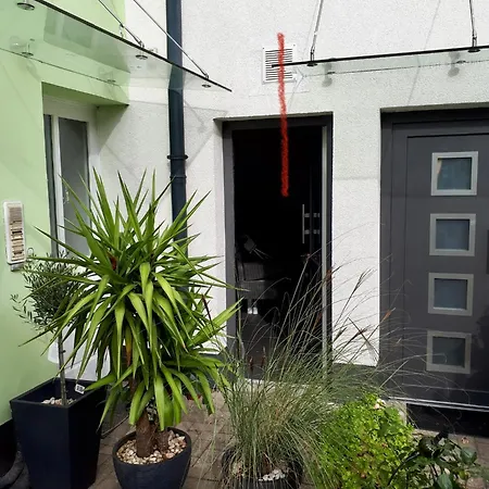 Patio 1
